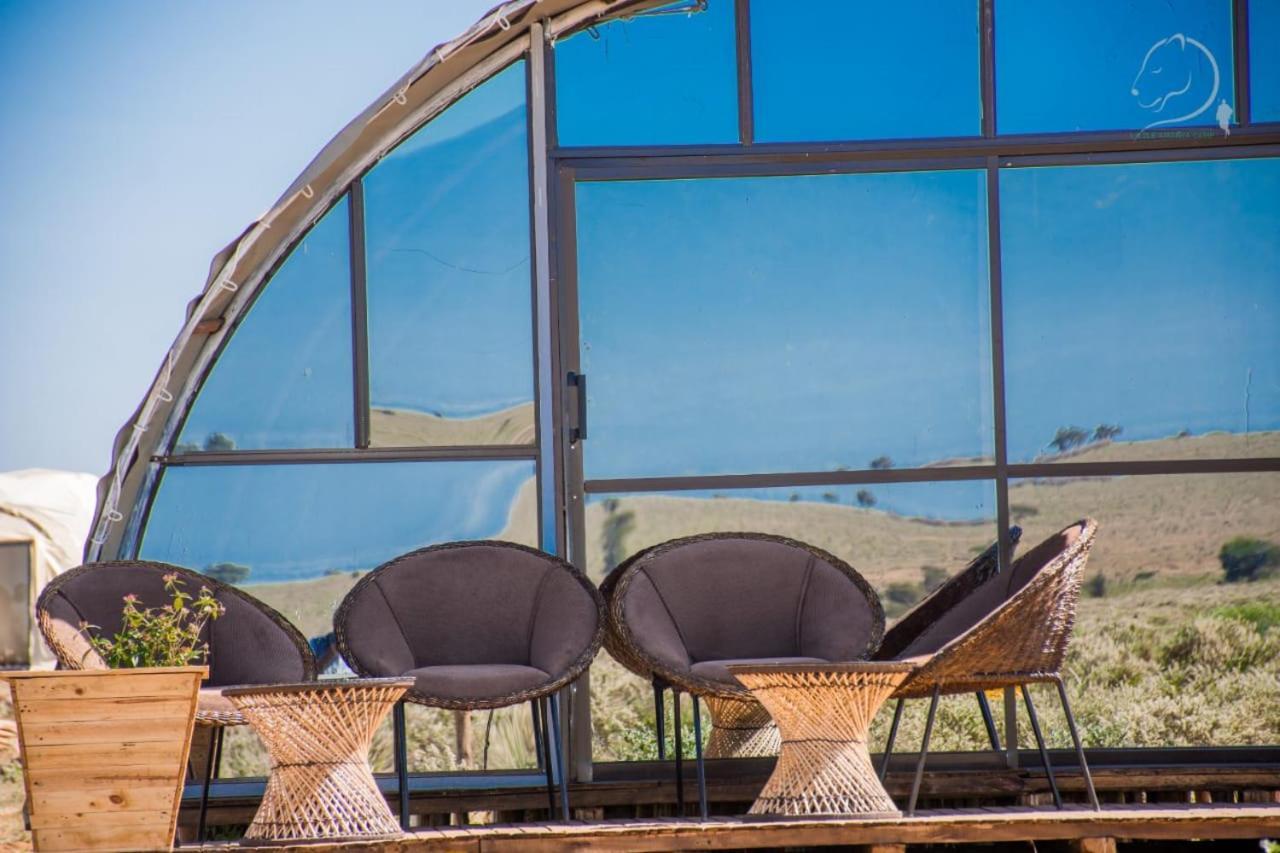 Hotel Little Amanya Camp Amboseli Esterno foto